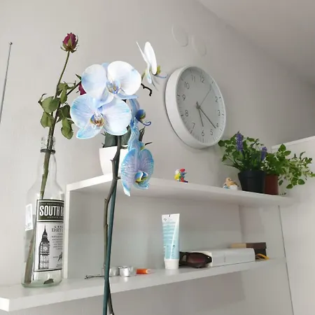 Apartman Sunny Διαμέρισμα Σπλιτ