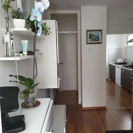 Apartman Sunny * Split
